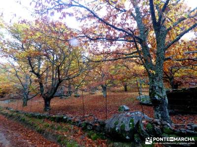 Senda Viriato; Sierra San Vicente; cercanias madrid rutas montes del pais vasco bujaruelo huesca